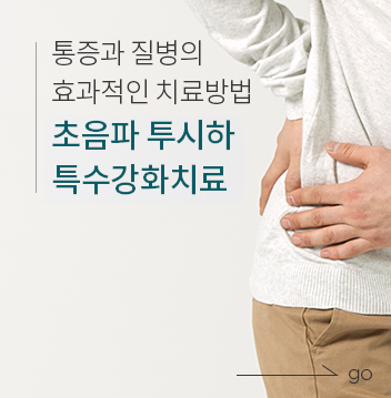 초음파 투시하 특수강화치료